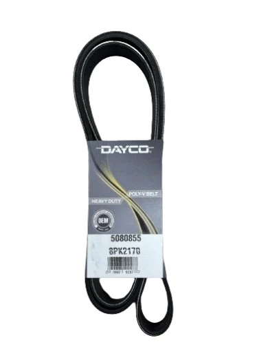 Universal HD Poly-V Serpentine Belt 8-Rib 85.5in Dayco - 5080855
