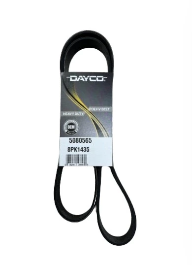 Universal HD Poly-V Serpentine Belt 8-Rib 56.5in Dayco - 5080565