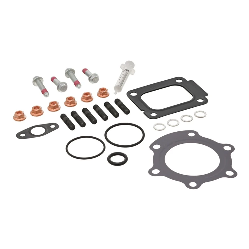 Turbo Mounting Kit Elring - M46580580EL