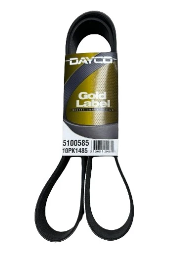 Universal Serpentine Belt (Gold Label) Dayco - 5100585